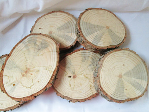 Wood Rounds - Phoenix